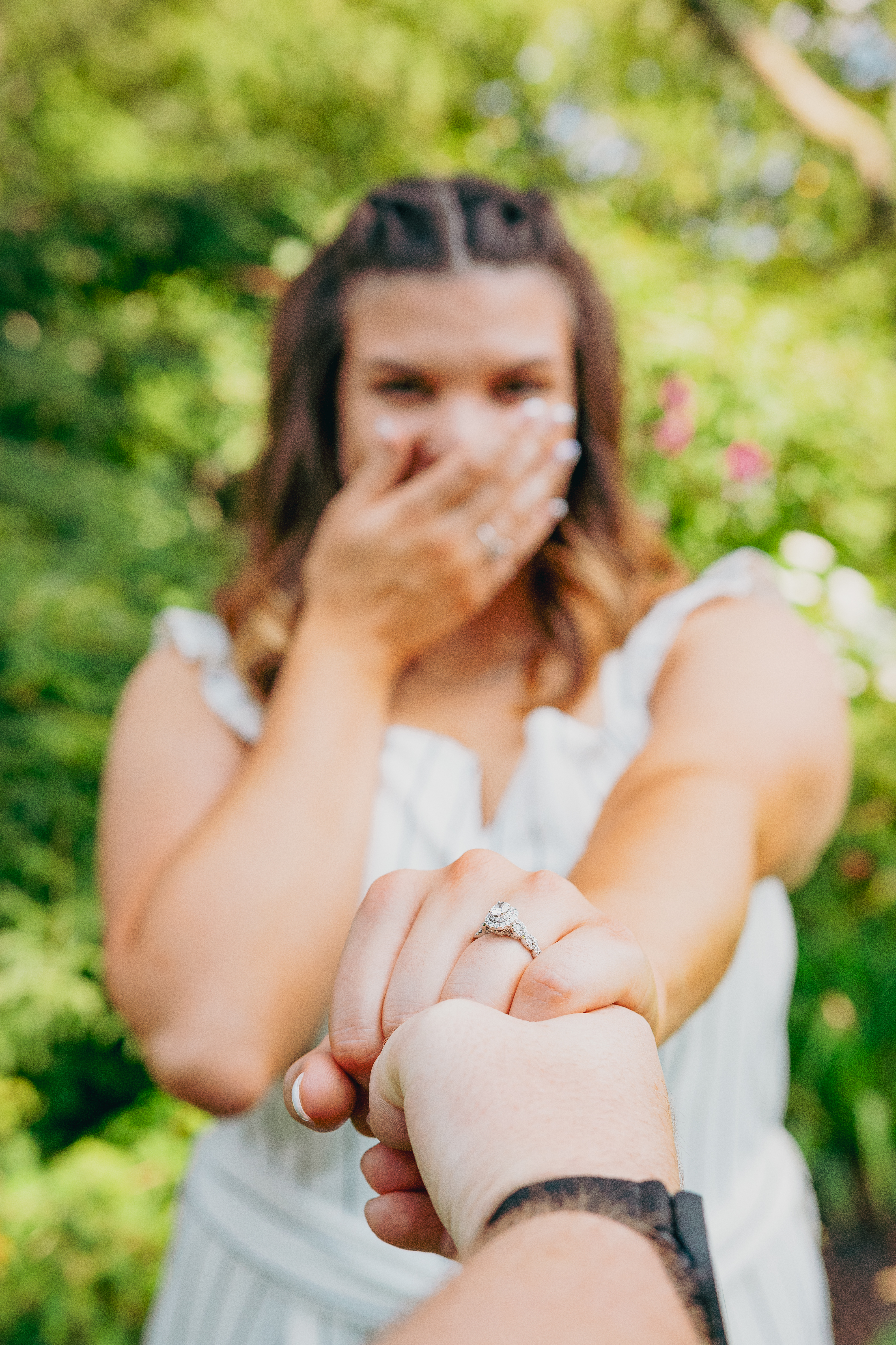 professional photography demotte indiana hamstra gardens engagement